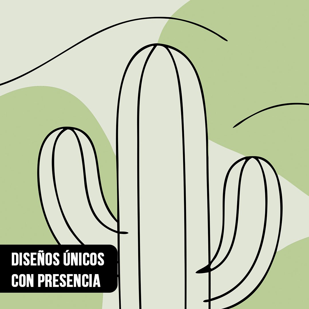 Primer plano de ilustración minimalista con el trazo en negro de un cactus sobre fondo de manchas en verde sabio
