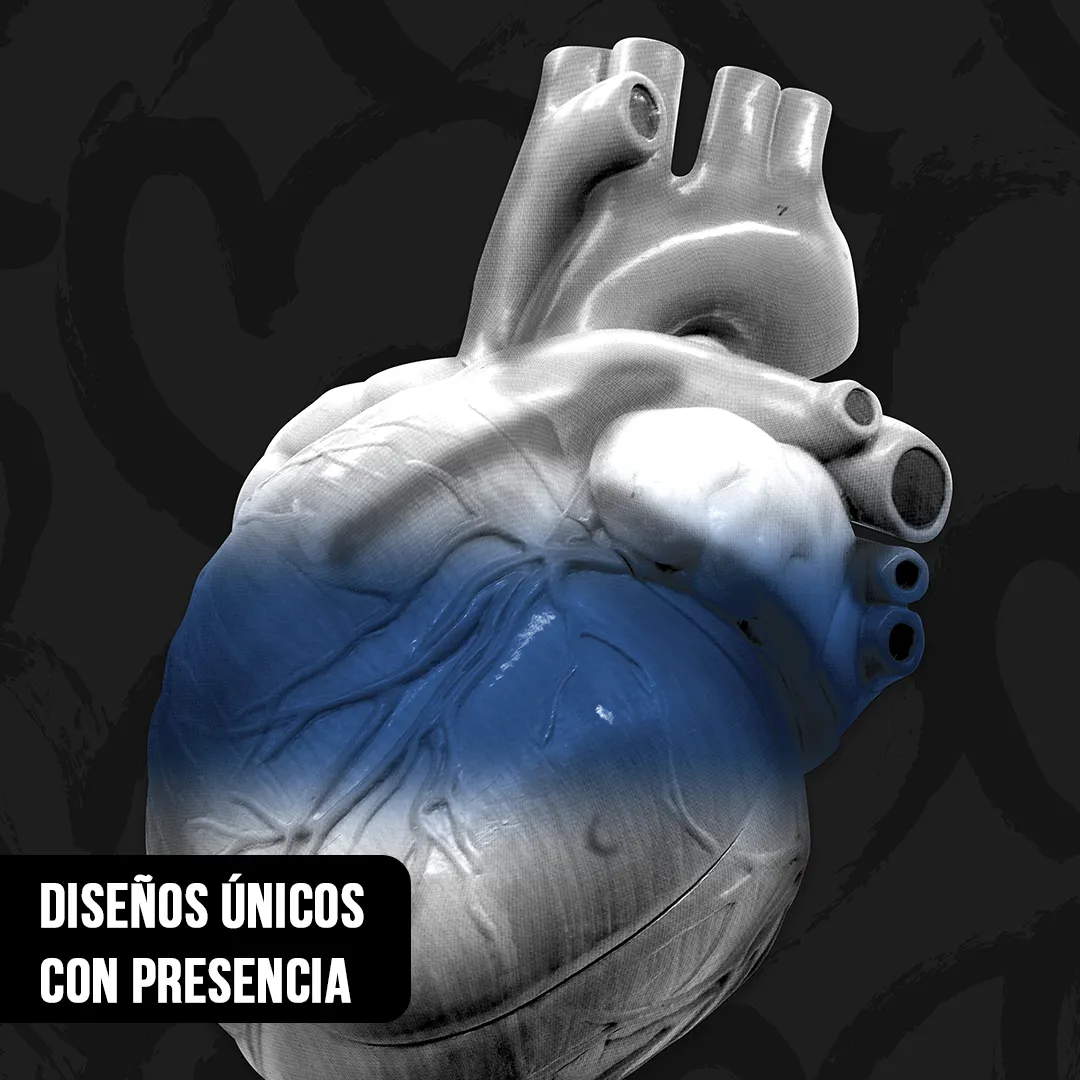 Primer plano de corazón anatómico 3D blanco con franja horizontal azul sobre fondo oscuro