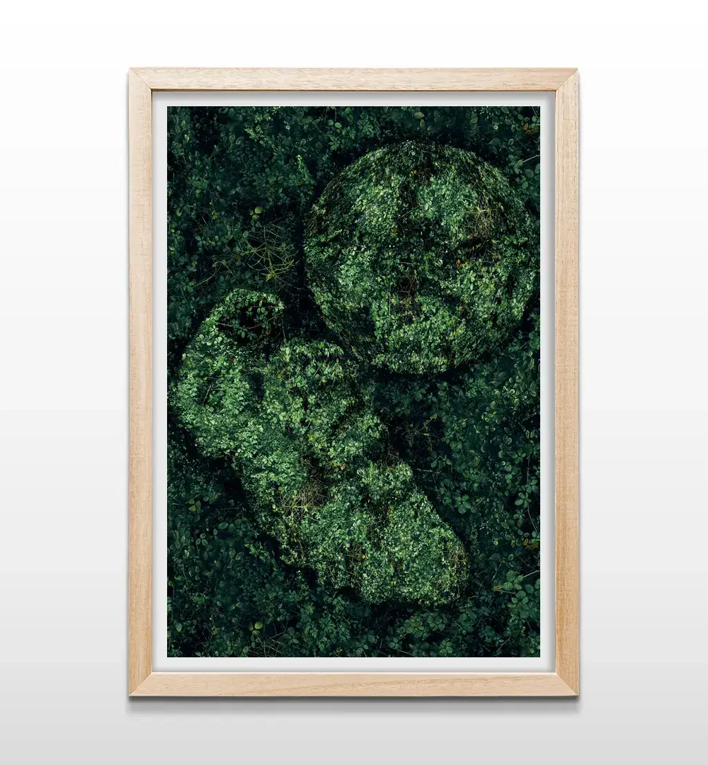 cuadro fútbol por naturaleza rectangular natural