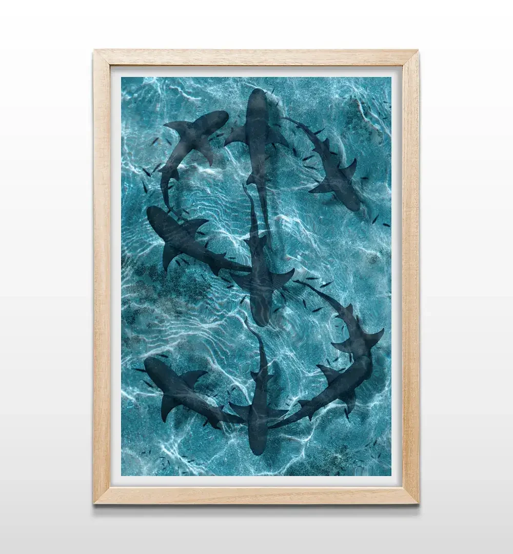 cuadro tiburones rectangular natural