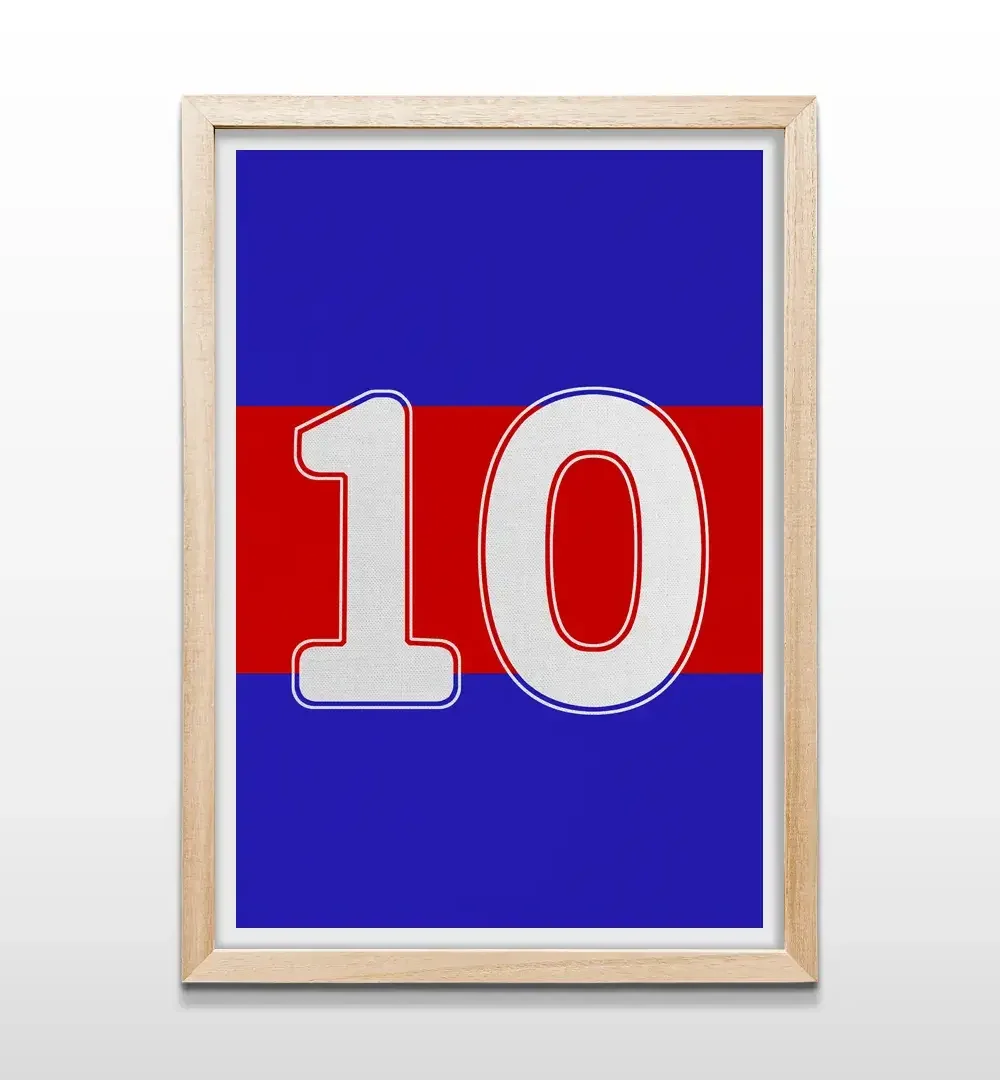 cuadro camiseta 10 de tigre natural