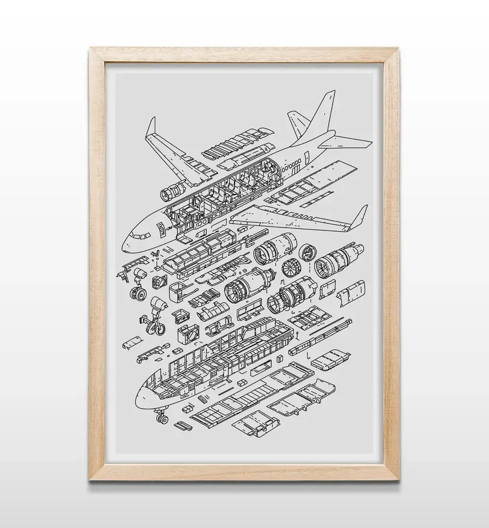 cuadro anatomía avión rectangular natural