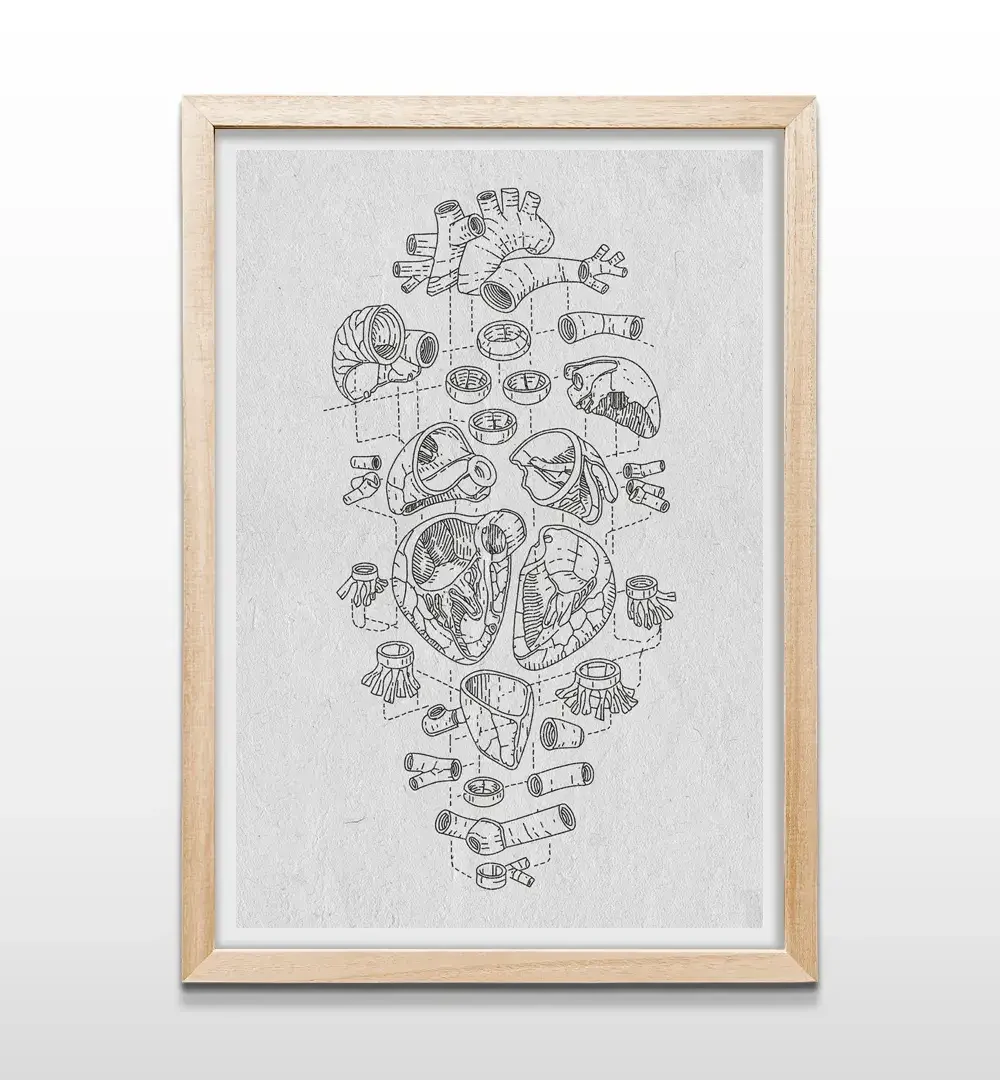 Cuadro de corazón anatómico con marco de madera natural, arte de pared para consultorios médicos o decoración de hogar