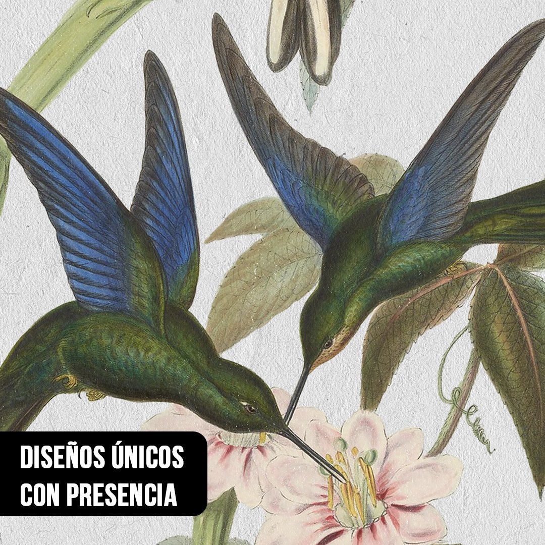 Primer plano de ilustración botánica vintage de dos colibríes verdes con alas azules extrayendo néctar de una flor rosa claro sobre fondo gris texturado