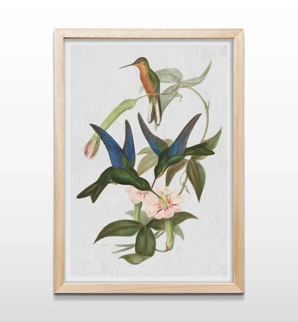 Cuadro de colibrí y flores con marco de madera natural, decoración de pared botánica para dormitorios y espacios de lectura