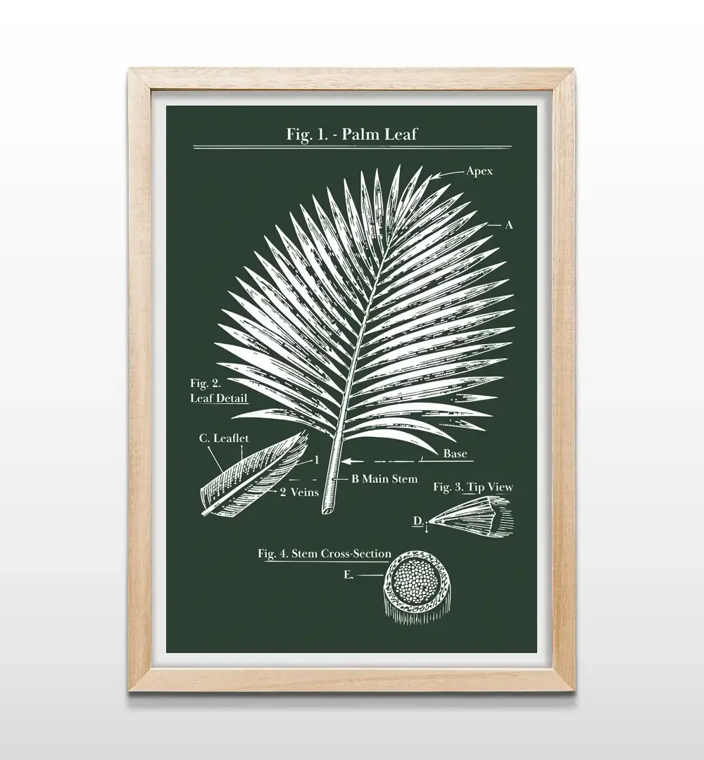 Cuadro de hoja tropical con marco de madera natural, decoración de pared estilo boho-chic y zen para dormitorios y salas luminosas