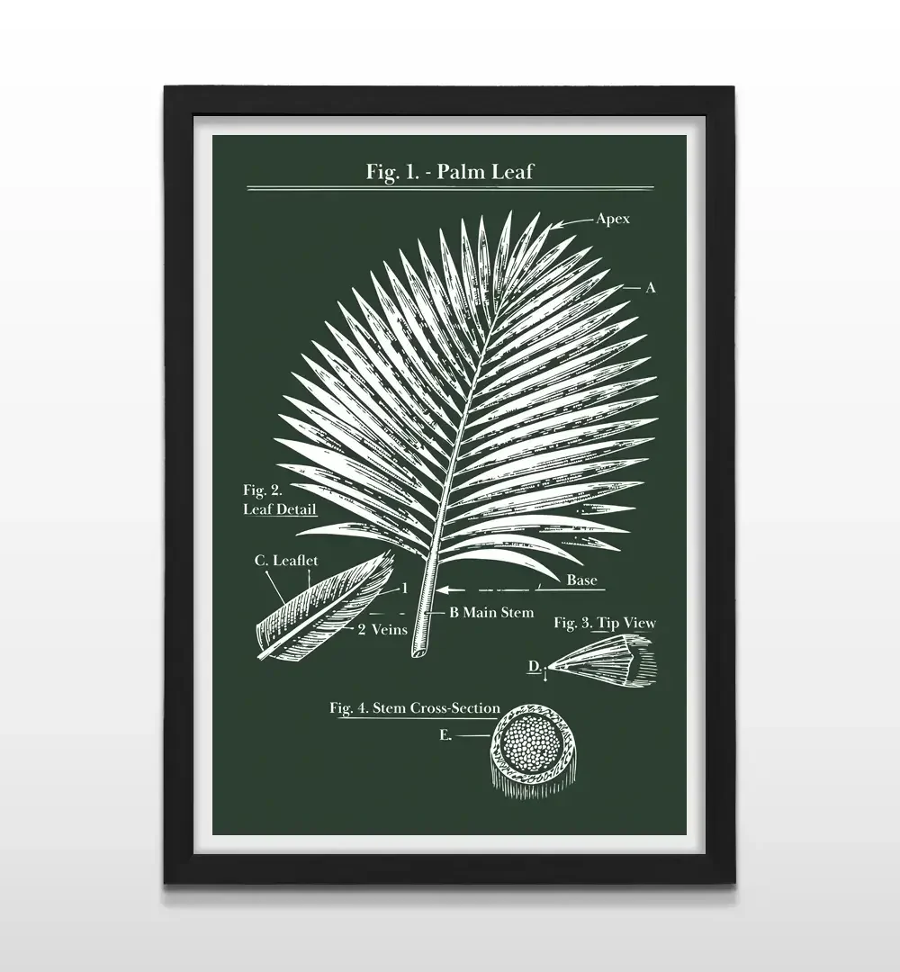 Cuadro moderno de palmera exótica con marco negro, arte de pared botánico elegante para oficinas, hoteles y departamentos contemporáneos