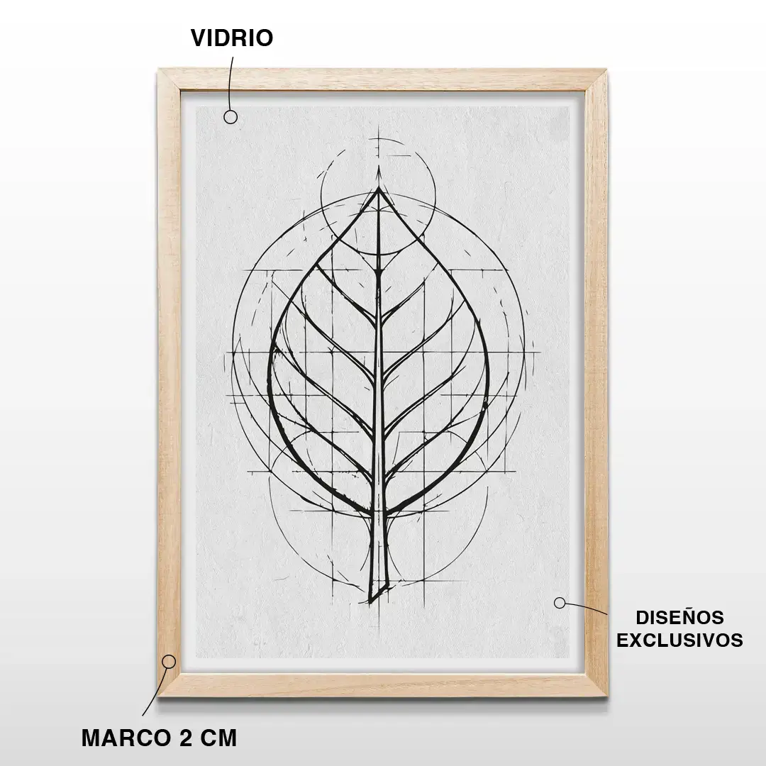 Cuadro decorativo de silueta de hoja minimalista con marco de madera de 2 cm, vidrio protector y lámina artística de diseño botánico lineal
