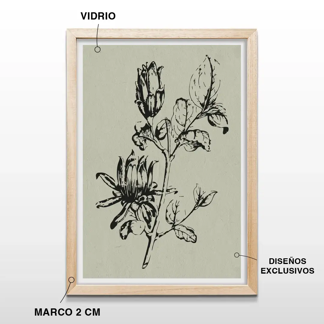Cuadro decorativo de magnolia minimalista con marco de madera de 2 cm, vidrio protector y lámina artística de diseño botánico premium