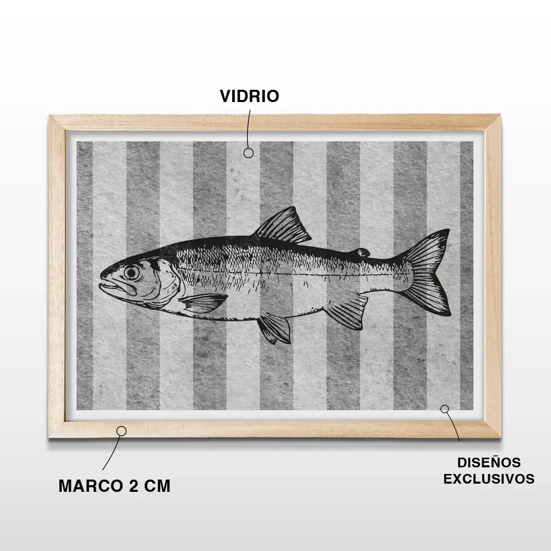 Cuadro decorativo de pez minimalista con diseño de arte lineal, marco de madera de 2 cm, vidrio protector y lámina artística en alta resolución