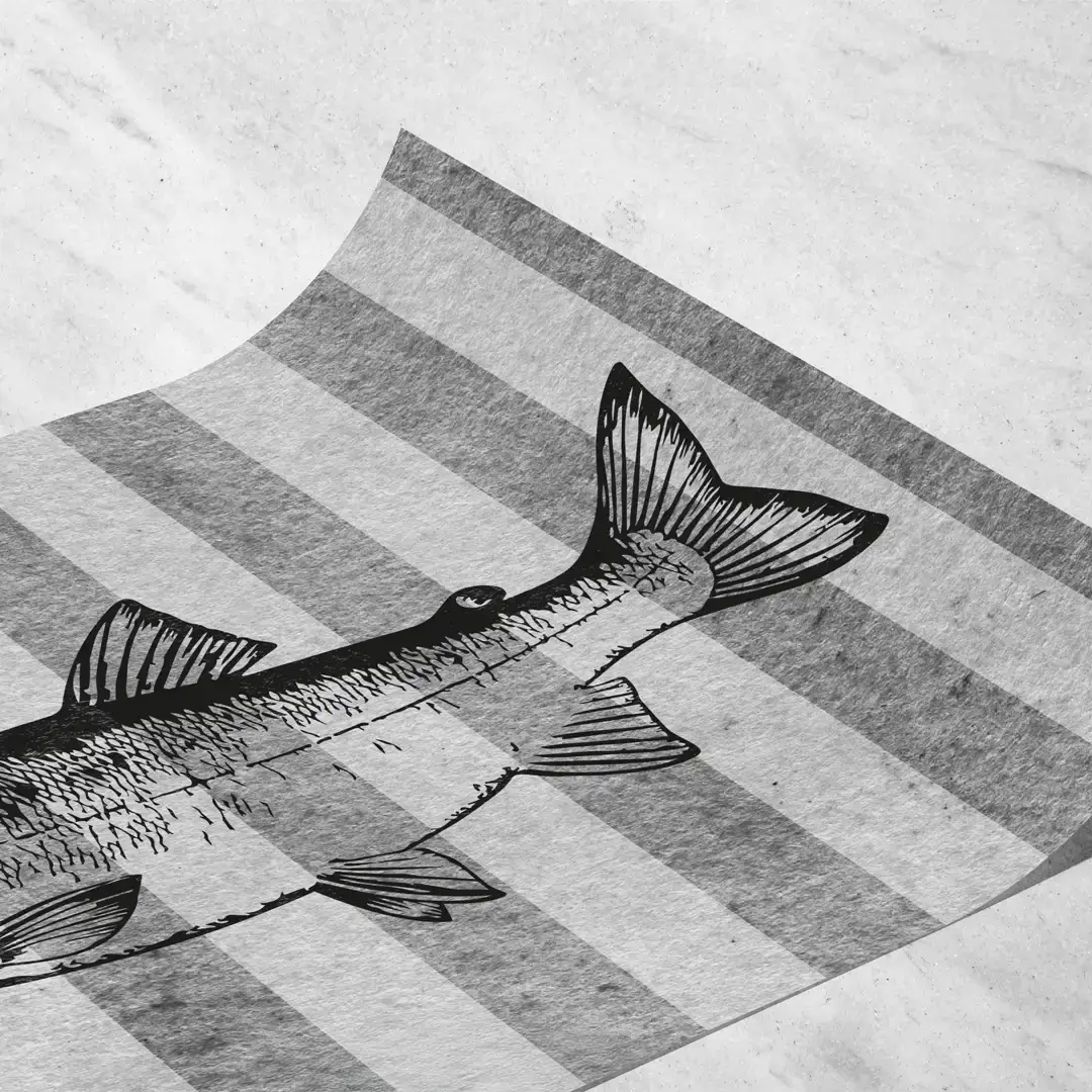 Detalle de ilustración de pez de vista lateral, trazos orgánicos y elegantes que representan fluidez sobre fondo rayado