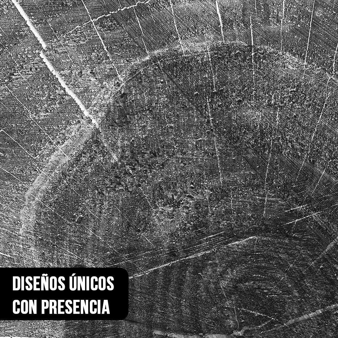 Primer plano en blanco y negro de la textura y anillos de crecimiento en el corte de un tronco de árbol