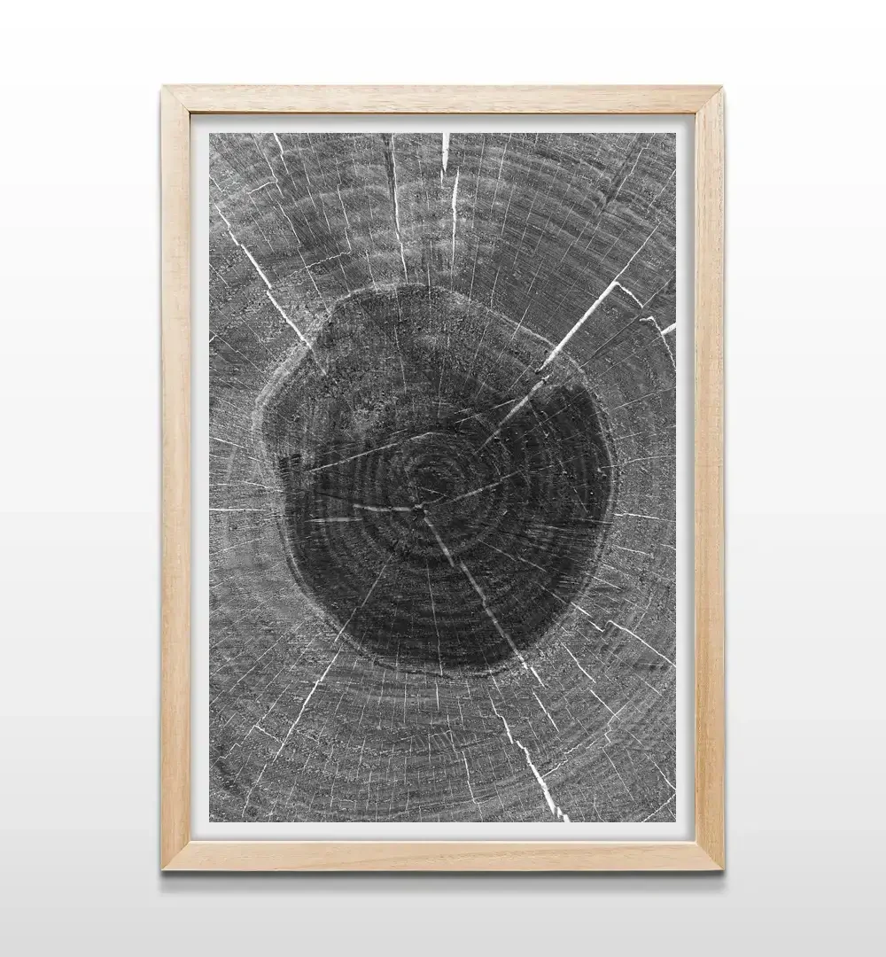 Cuadro de anillos de madera abstractos con marco de madera natural, arte de pared orgánico para livings contemporáneos y habitaciones de estilo minimalista o zen