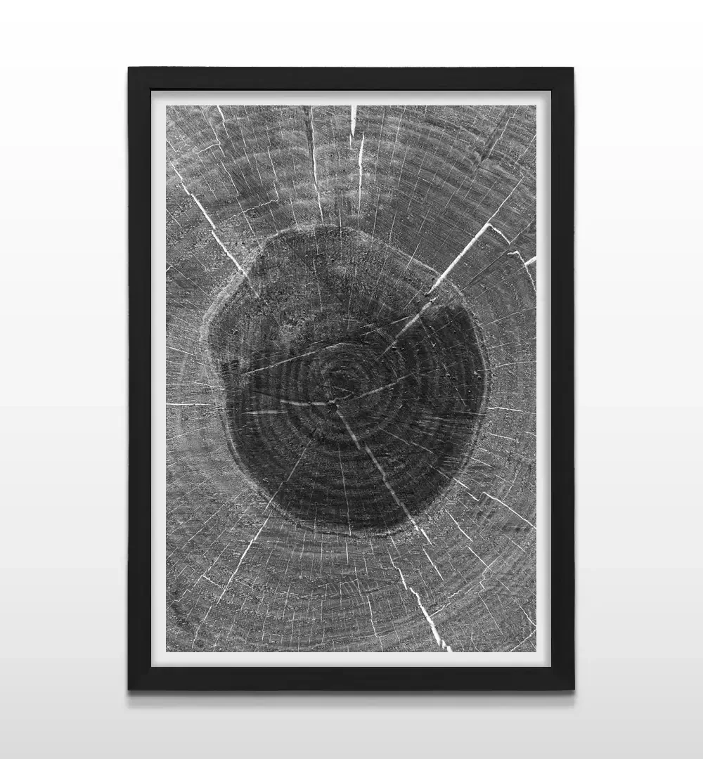 Cuadro moderno de veta de árbol abstracta con marco negro, decoración de alto impacto visual para oficinas ejecutivas y regalo ideal para amantes del diseño botánico
