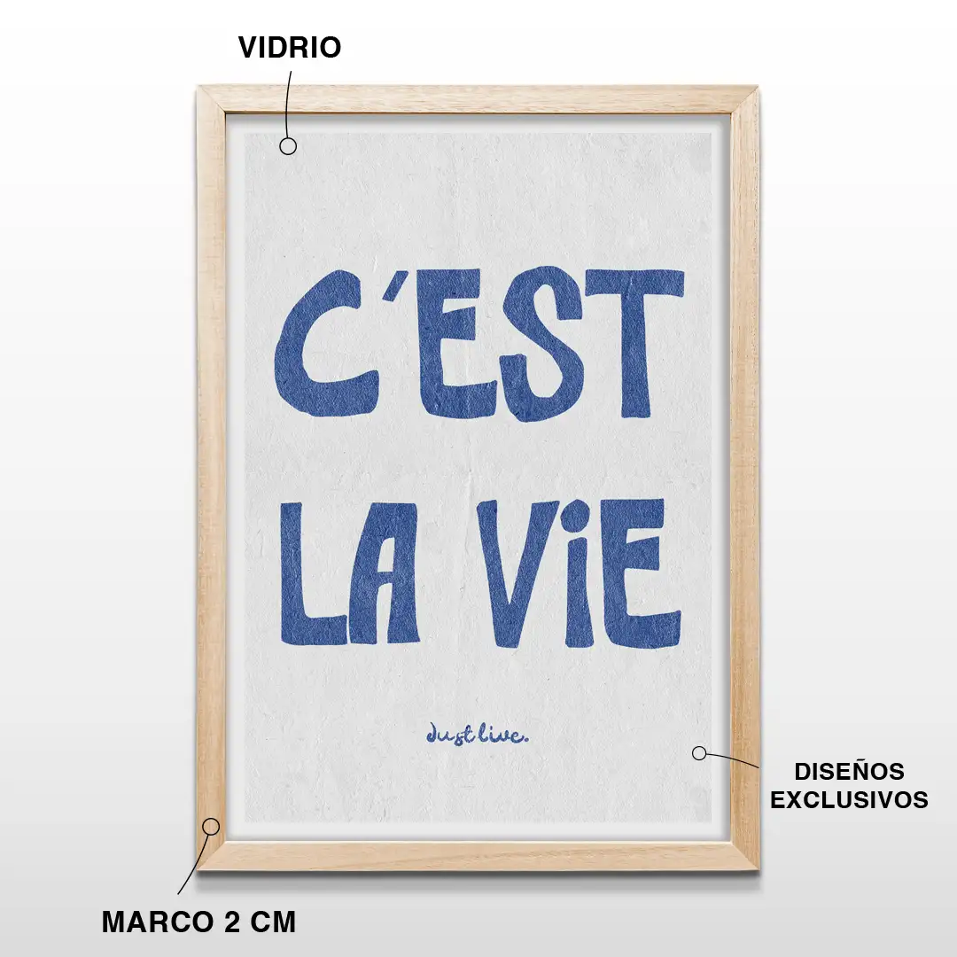 Cuadro decorativo con frase en francés C'est la vie en azul oscuro sobre fondo blanco, incluye marco de madera de 2 cm, vidrio protector y lámina premium para dormitorios y oficinas modernas