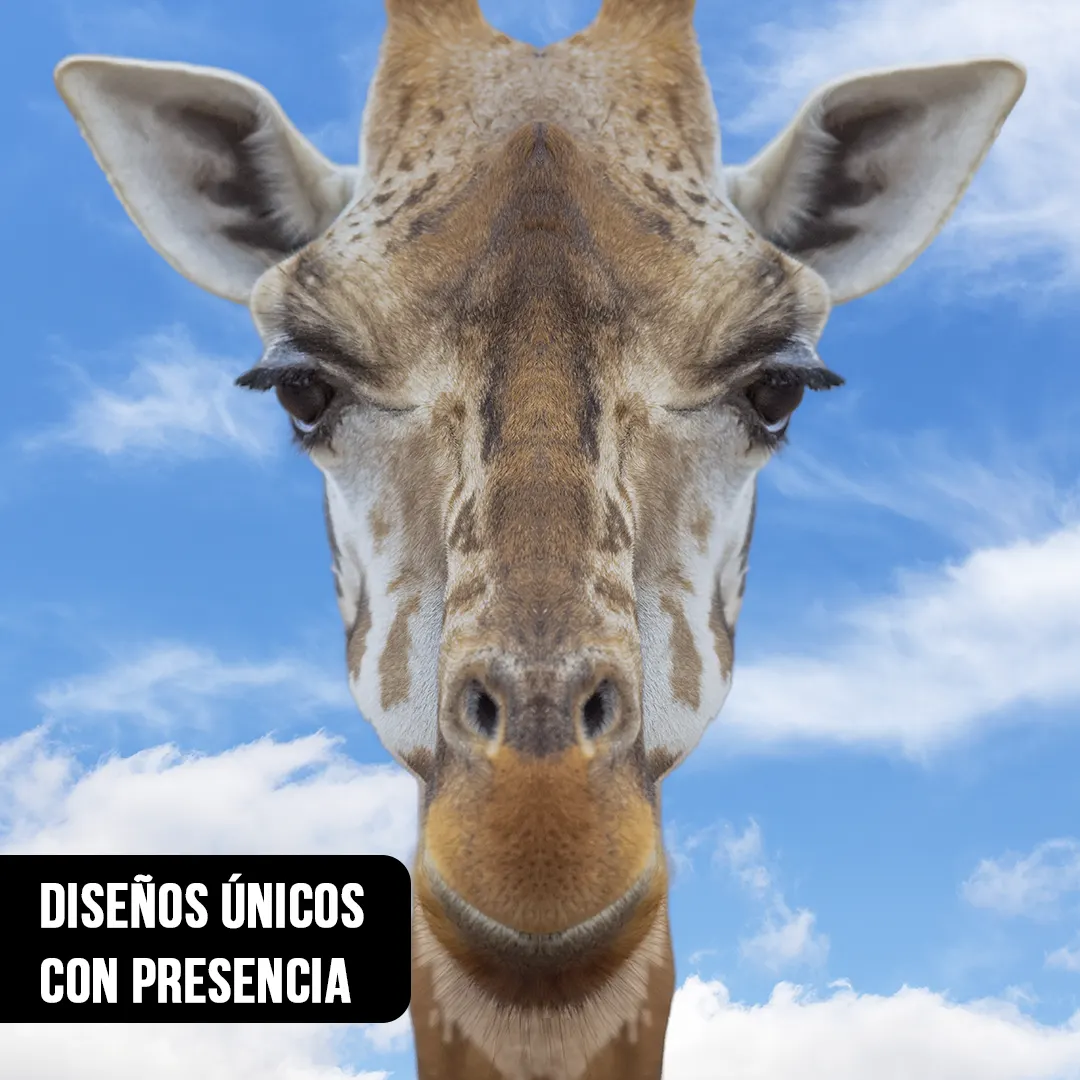 Primer plano fotográfico del rostro de una jirafa mirada de frente con cielo azul y nubes de fondo