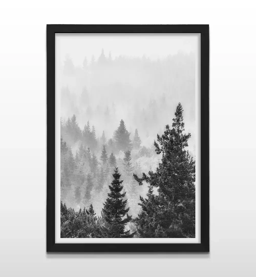 Cuadro moderno de bosque con niebla en blanco y negro con marco negro, decoración de alto impacto visual y regalo ideal para amantes de la fotografía de naturaleza