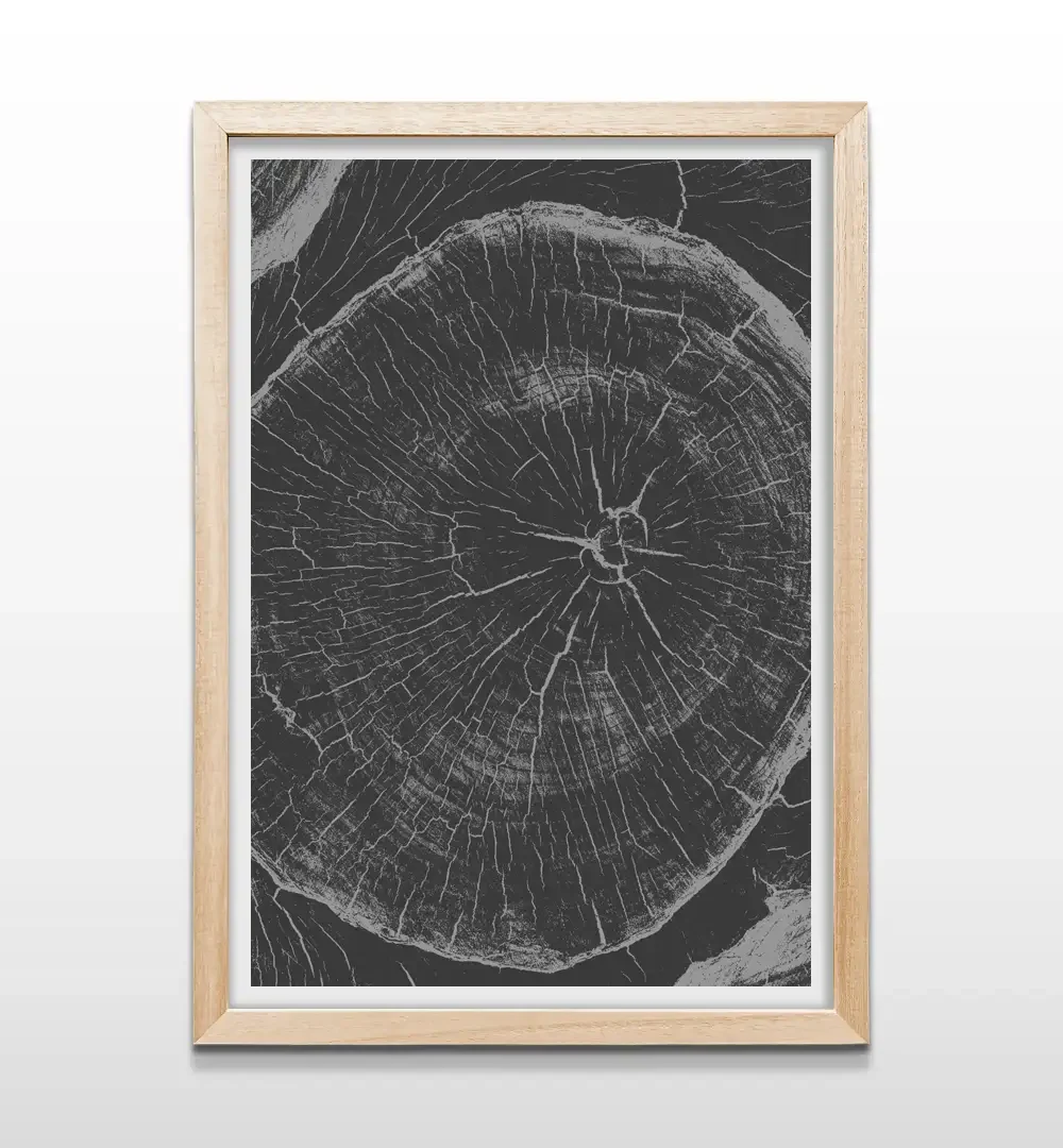 Cuadro botánico minimalista de corteza de árbol con marco de madera natural, arte de pared rústico moderno para dormitorios y espacios zen