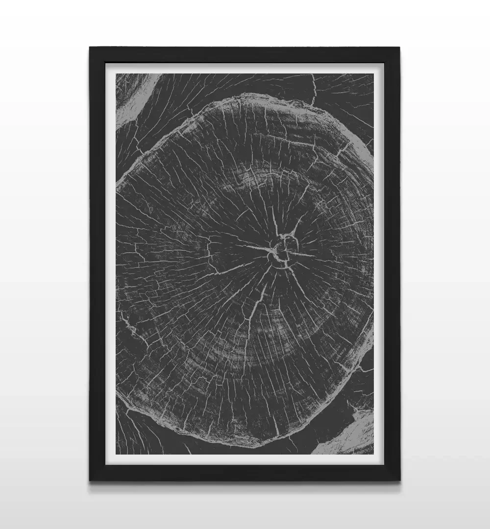 Cuadro moderno de anillos de árbol con marco negro, decoración de pared sofisticada en tonos grises para oficinas ejecutivas y livings minimalistas