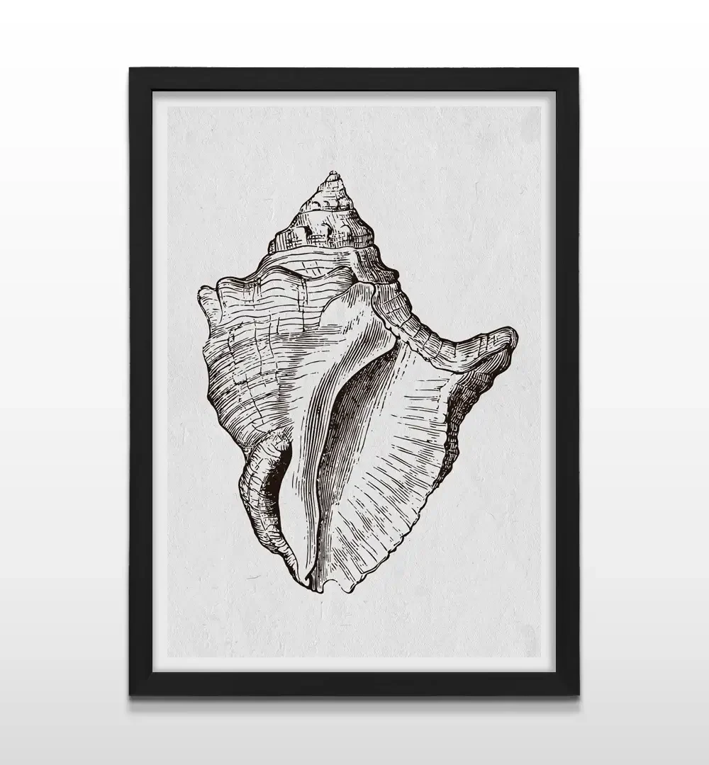 Cuadro vertical enmarcado en negro mate con grabado náutico de caracola marina en tinta negra sobre fondo claro texturizado