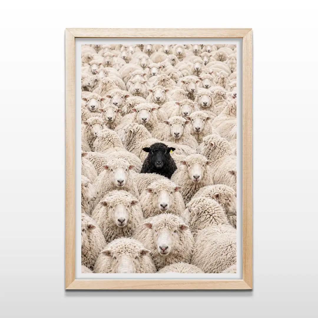 Cuadro vertical enmarcado en madera clara con fotografía conceptual de una oveja negra rodeada por un rebaño de ovejas blancas